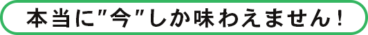 本当に今しか味わえません！