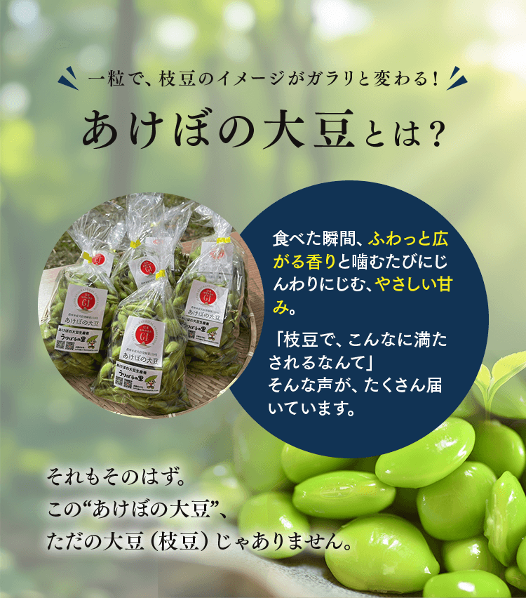 一粒で違いが分かるうりぼうの里あけぼの大豆枝豆の魅力