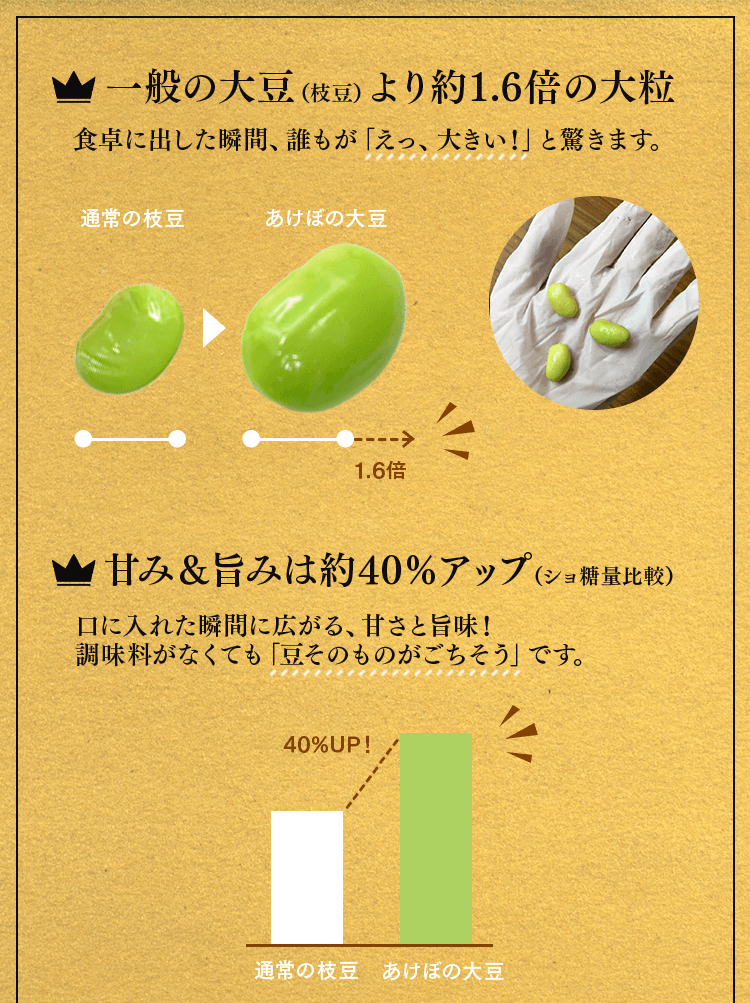 通常の大豆の1.6倍の大粒と40％増の甘みが魅力のうりぼうの里あけぼの大豆の枝豆