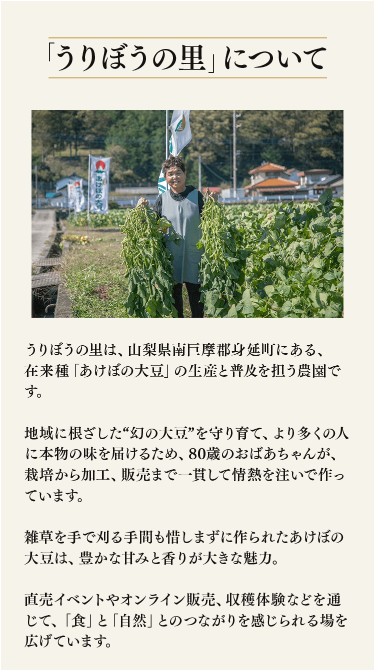 この秋だけ味わえる特別なうりぼうの里あけぼの大豆の枝豆で心ほどける贅沢を
